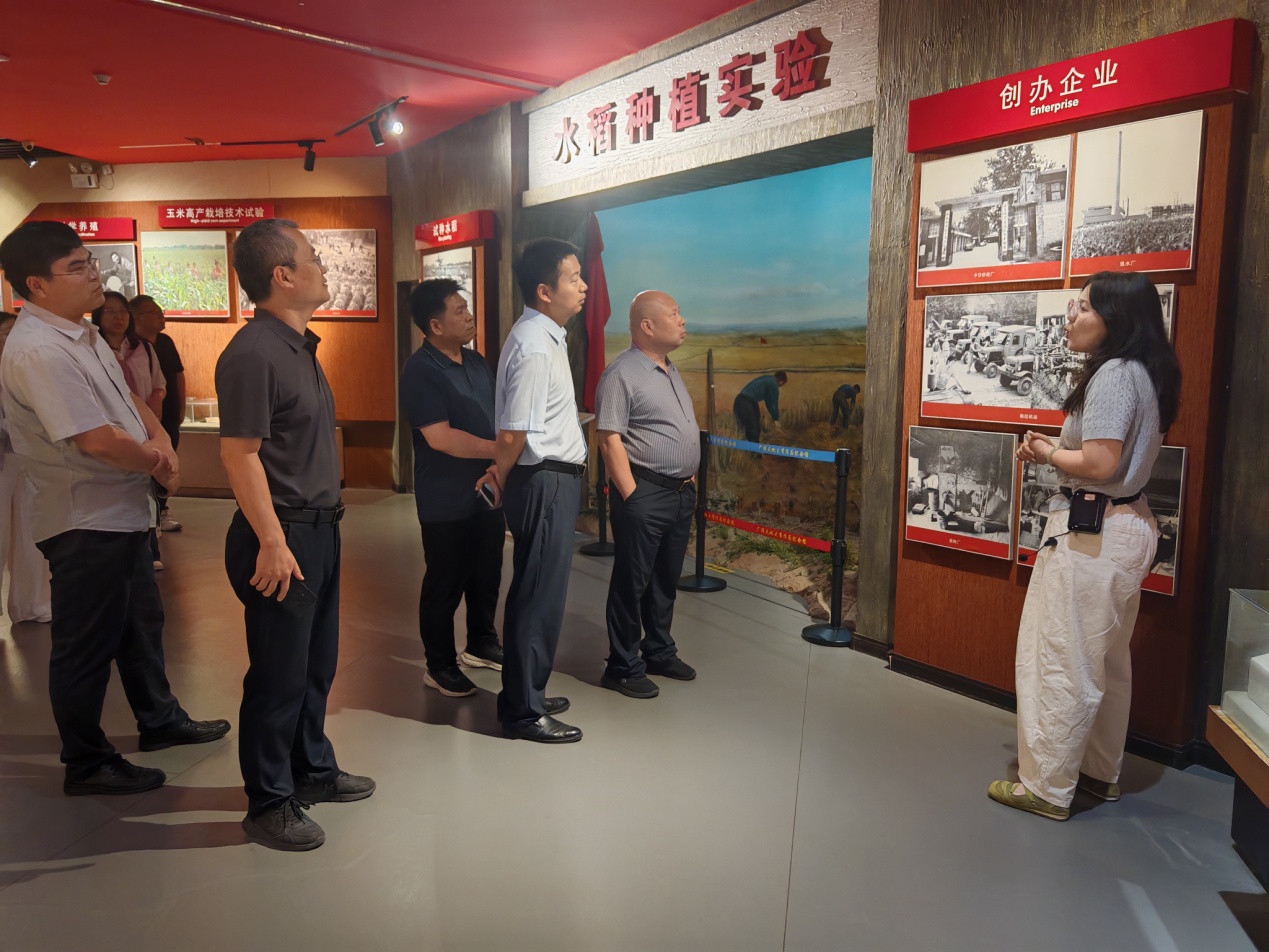 JJ斗地主下载